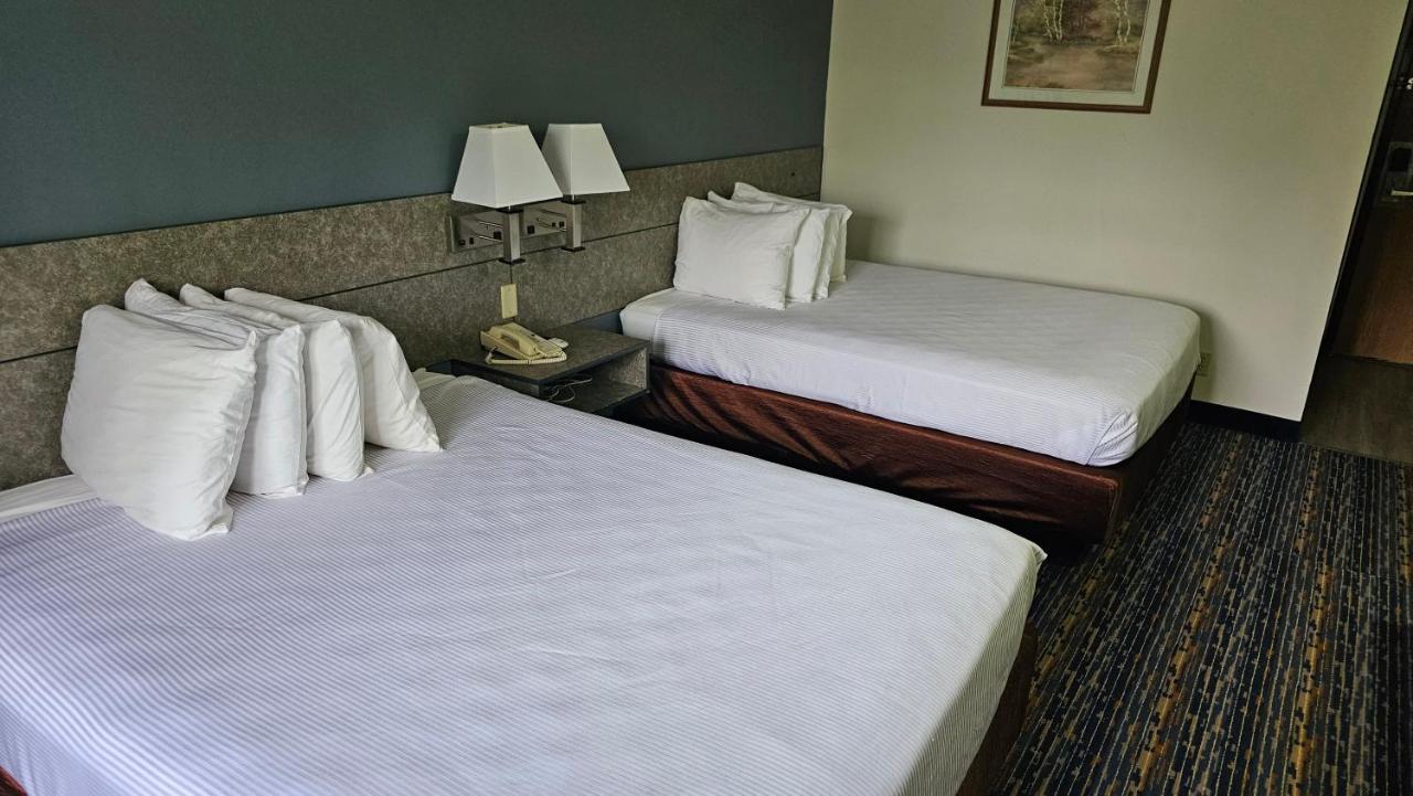 Mj And Hotel Marienville